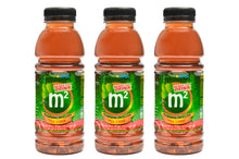 Load image into Gallery viewer, M2 Malunggay Tea Drink Ready to Drink 320ml
