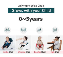 Load image into Gallery viewer, Jellymom Wise Chair
